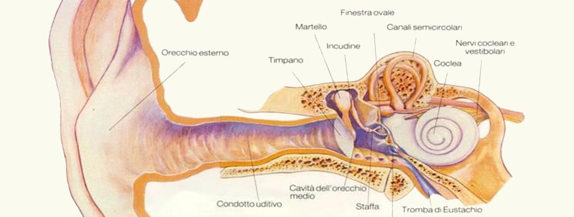 Le manifestazioni tipiche del Mal d'Orecchi